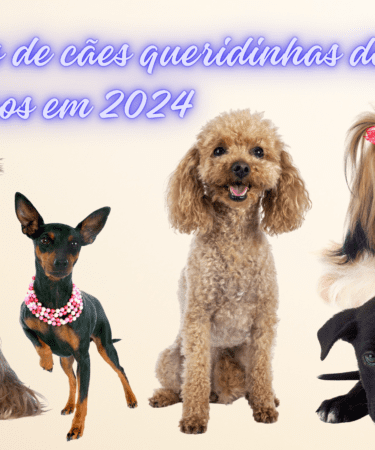 As-racas-de-caes-queridinhas-dos-brasileiros-em-2024